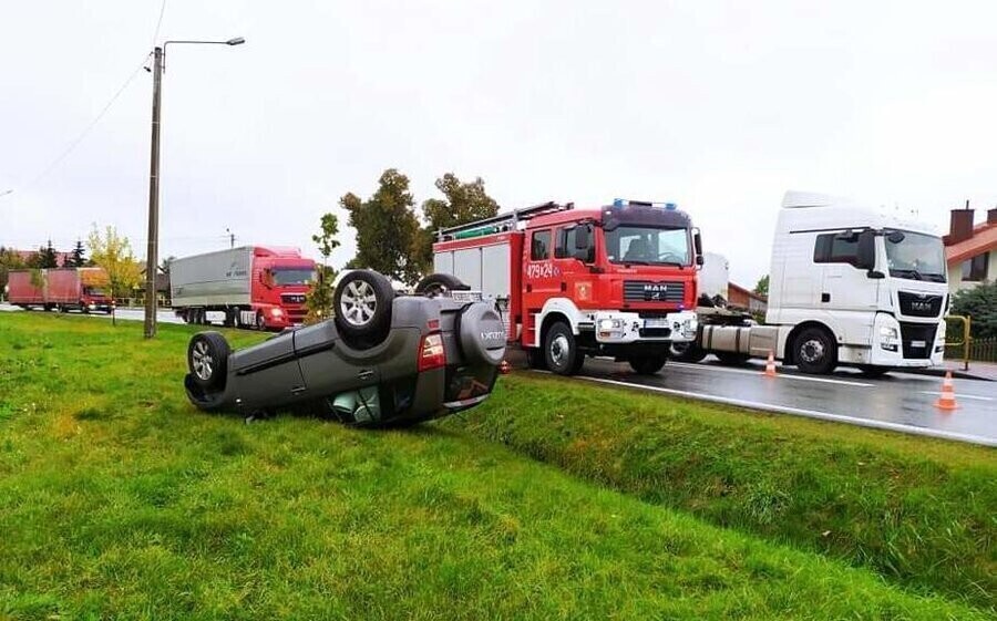 Dachowanie w Paradyżu