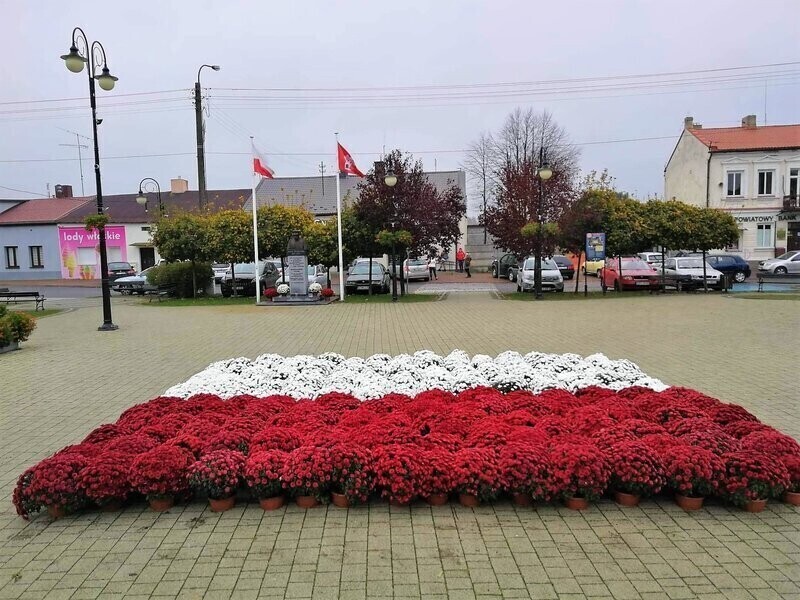 Kwiaty otuliły Wolbórz