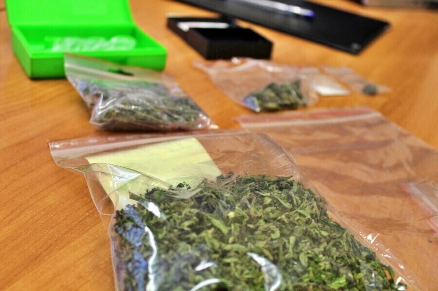 Włamywali się do komórek i altanek. Jeden z włamywaczy miał narkotyki