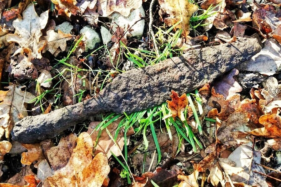 Średniowieczne znalezisko w Lubieniu. Czy będą kolejne odkrycia