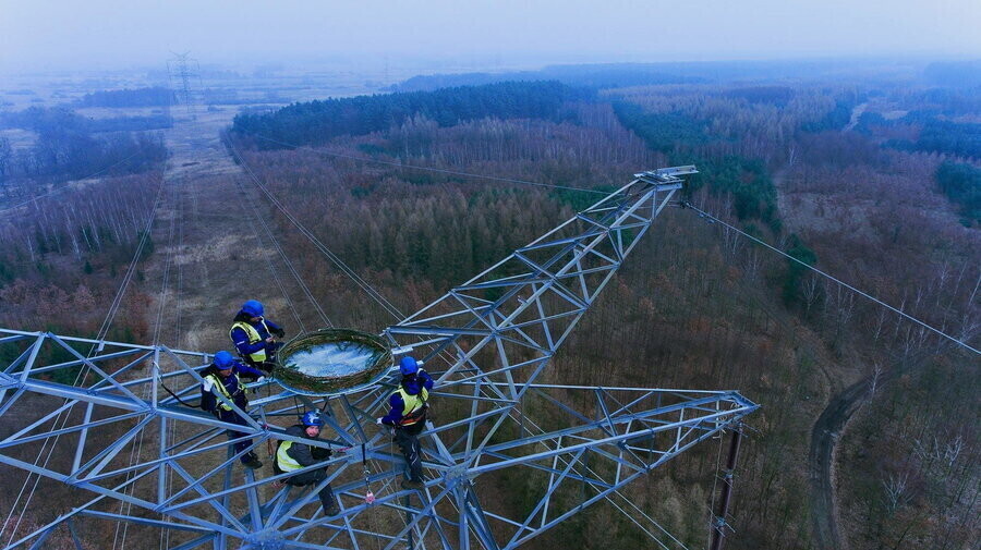 PSE i Lasy Państwowe ponownie zadbają o bezpieczeństwo rybołowów