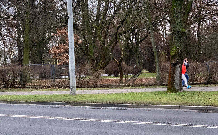 Mercedesem wjechał w ogrodzenie parku