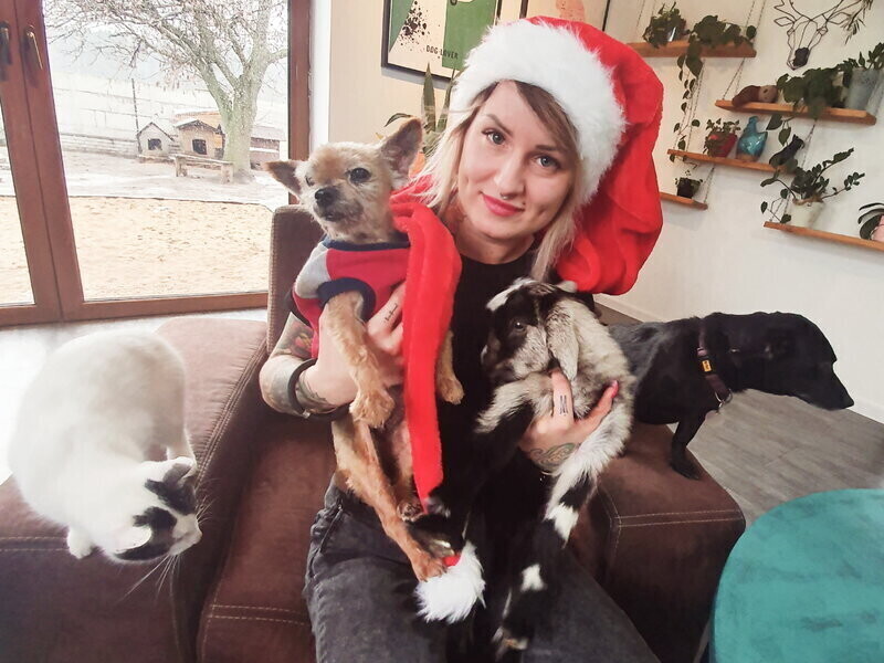 Pomagają zwierzętom cały rok - nie tylko od święta