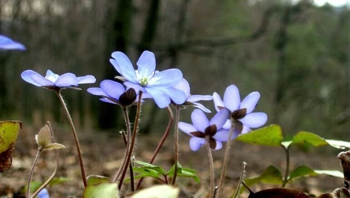 Nadchodzi prawdziwe ocieplenie!