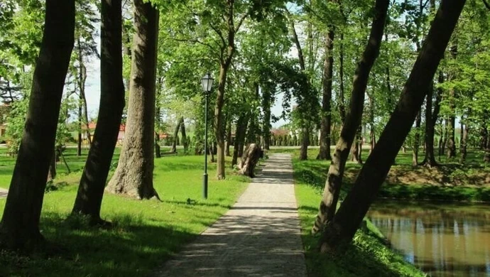 Przyrodnicza perła województwa łódzkiego. Zabytkowy park w Woli Krzysztoporskiej