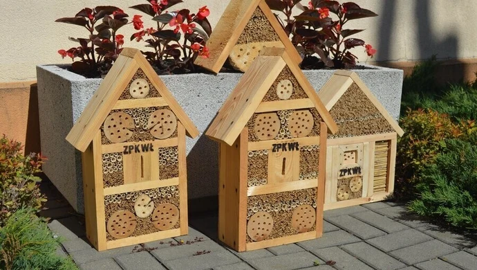 W Sulejowie wybudowali domki dla owadów