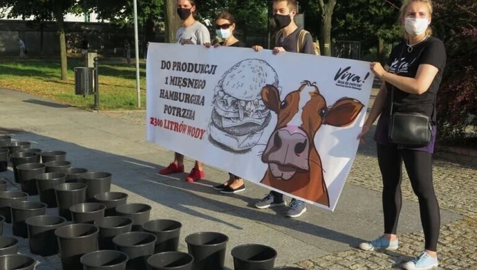 Jak to, co jesz wpływa na środowisko? Uliczna akcja Vivy w centrum Piotrkowa