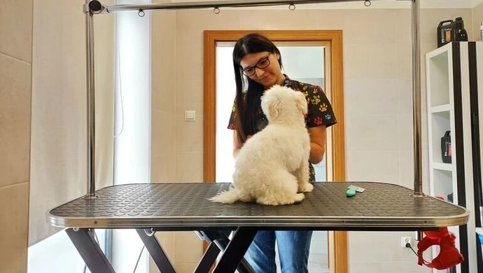 Zadbaj o swojego psa w sezonie jesienno-zimowym