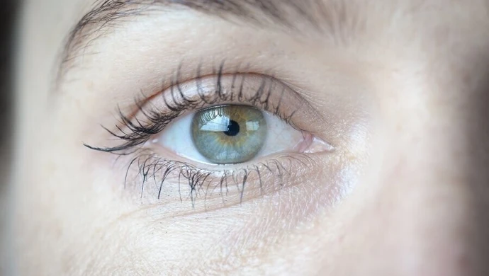 Ślady demencji w siatkówce