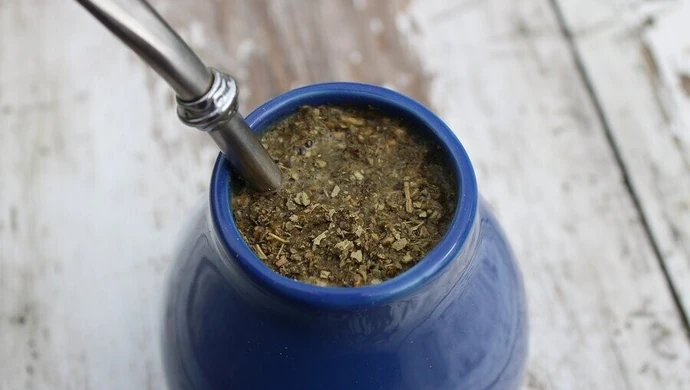 Yerba mate - rozpocznij przygodę z ostrokrzewem paragwajskim