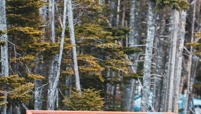 Zmiany w przepisach o magazynowaniu odpadów w 2021 roku