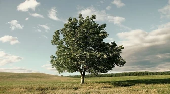 Uwaga na silny wiatr!