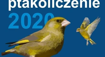 Zimowe ptakoliczenie 2020. Weź udział w wycieczce terenowej