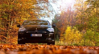 Wjeżdżasz do lasu? Możesz stanąć przed sądem