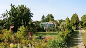 Ogródki działkowe w Budżecie Obywatelskim Piotrkowa