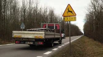 Uwaga, zwierzę na drodze!