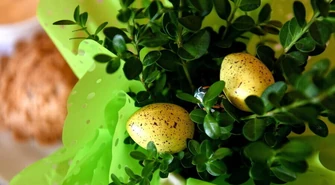 Poniedziałek Wielkanocny przedłużeniem święta zmartwychwstania Chrystusa