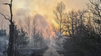 Państwowa Agencja Atomistyki zaprzecza informacjom o skażeniu promieniotwórczym w Polsce