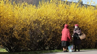 ZUS: emeryci i renciści z "trzynastkami" na kontach