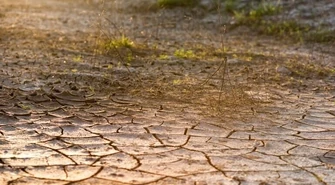 Gmina Czarnocin: Woda - nasze złoto. Dbajmy o nią!