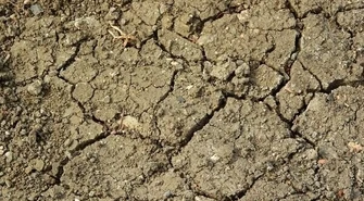 Pomoc suszowa &#8211; ARiMR sukcesywnie realizuje wypłaty