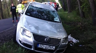 Na jezdnię wybiegła sarna. Auto wylądowało w rowie