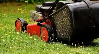 W Piotrkowie koszą trawy