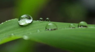 Gmina Wolbórz: Mieszkańcy, możecie starać się o dotację z programu &#8222;Moja woda&#8221;