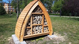 Hotele dla owadów mają pierwszych lokatorów