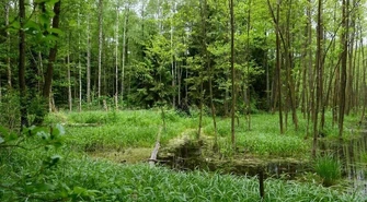 Połowa lądów - w dużej mierze wolna od wpływu człowieka