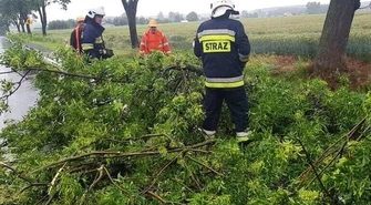 Złamany konar drzewa i zalana droga w Przygłowie
