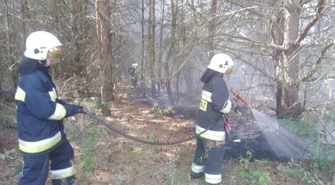 Pożar lasu we Włodzimierzowie