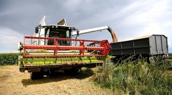 Żniwa przyspieszyły, jest urodzaj zbóż