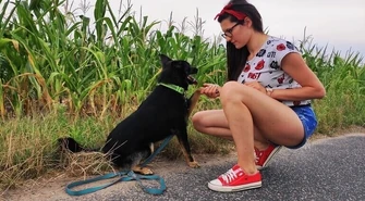 Behawiorysta, czyli psi psycholog