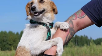 Zafunduj zwierzakobus podopiecznym azylu Fundacji Masz Nosa w Bilskiej Woli