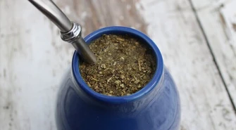 Yerba mate - rozpocznij przygodę z ostrokrzewem paragwajskim