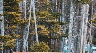 Zmiany w przepisach o magazynowaniu odpadów w 2021 roku