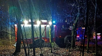 Jeździł po lesie, zatrzymał się na drzewie