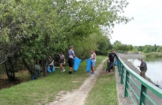 Sprzątanie jeziora zakończyli karpikiem