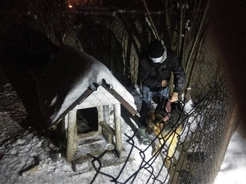 Odpowie za znęcanie się nad psem