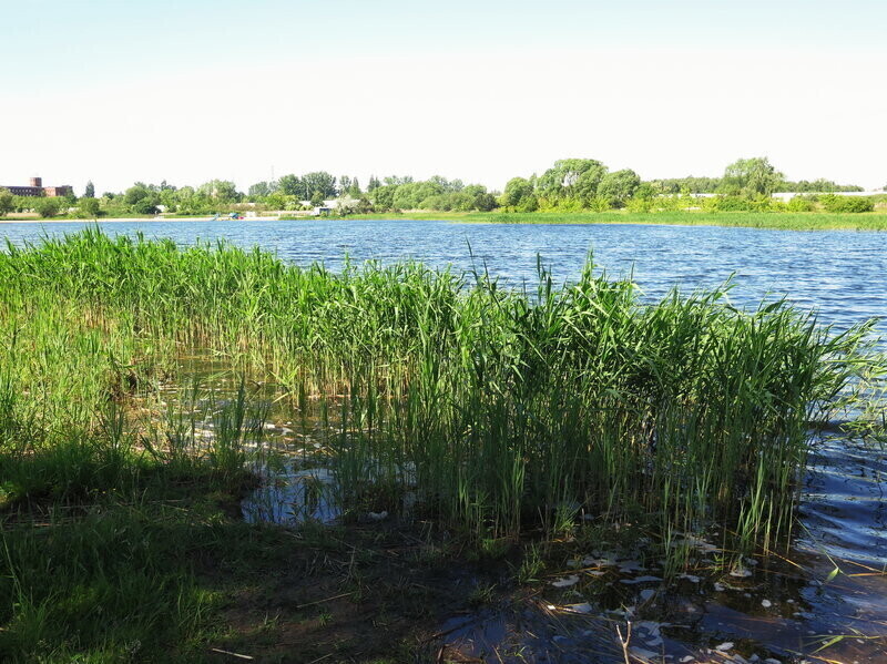PSAG działki przy Bugaju czekają na inwestorów