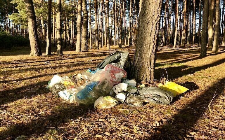 Będzie więcej kamer w lasach. To bat na śmieciarzy złodziei drewna i kłusowników