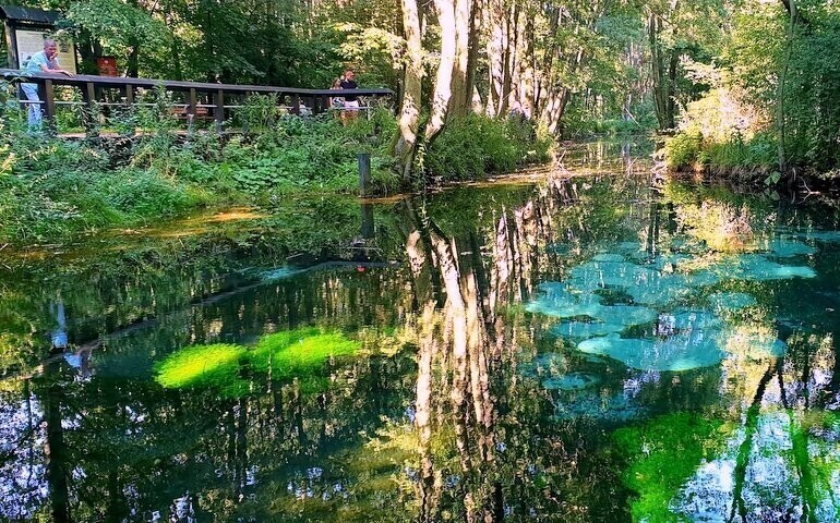 Odkrywamy znane i nieznane Niebieskie Źródła