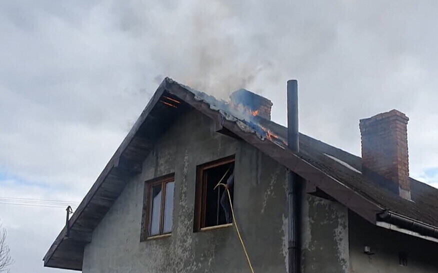 Dramat Fundacji Masz Nosa. Bez pomocy nie będą mogli dalej ratować zwierząt.