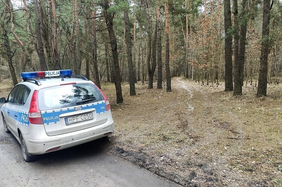 Pół tysiąca grzywny za wylewanie brudów w lesie