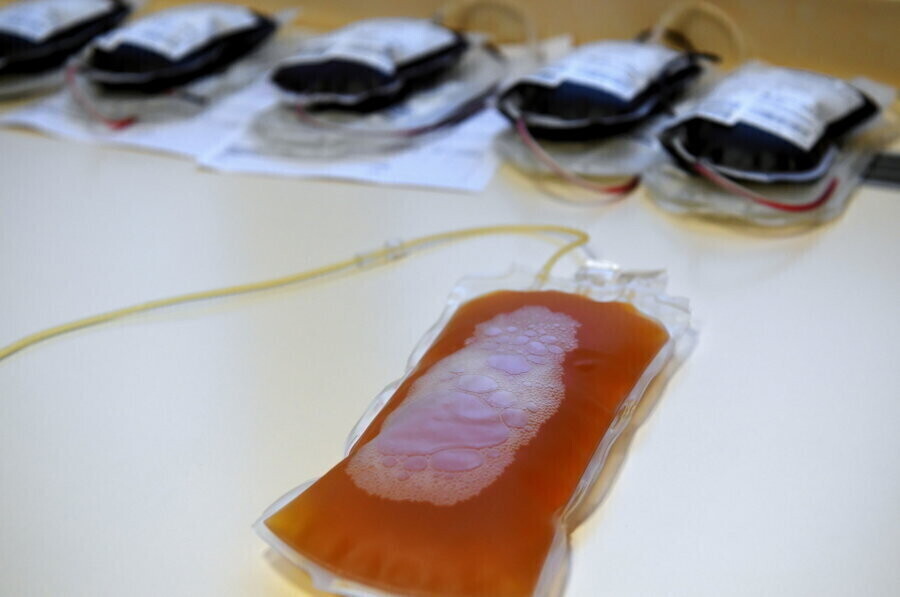 Prof. Radziwon znów potrzeba osocza od ozdrowieńców nie ma zapasów