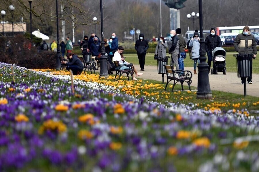Szef GIS majówka kluczowa dla tempa wygaszania epidemii apeluję o przestrzeganie przepisów