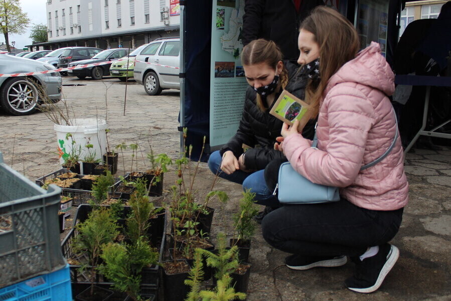 Po sadzonki drzew oraz nasiona ustawiła się kolejka chętnych