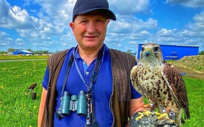 Sokoły na lotnisku w Piotrkowie zdjęcia
