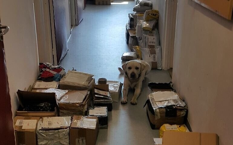 Ares znów wytropił tytoń i papierosy bez akcyzy